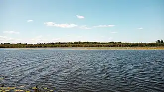 Вид на озеро летом 2019 года