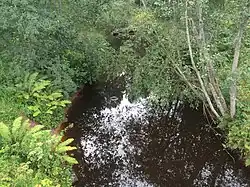 Вид против течения