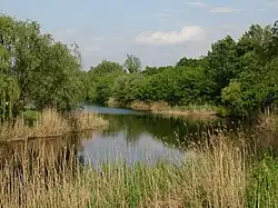 Говтва в Решетиловке