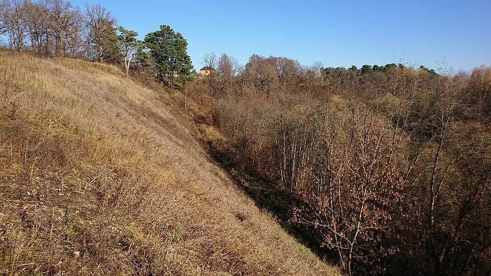 Городище «Луковня I» на левом берегу р. Пахры