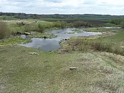 Мысовая часть со следами могил и надмогильных плит.  На левом берегу — село Воротынцево.