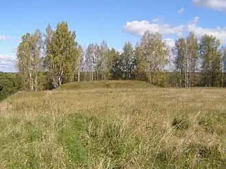 Вид на детинец со стороны окольного города