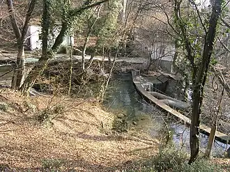 Гува у истока