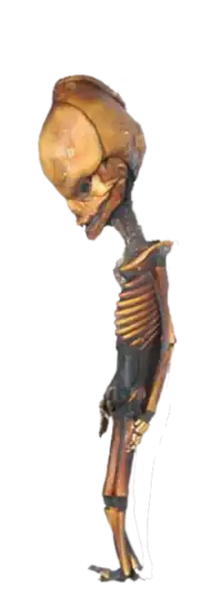 Гуманоид Атакамы