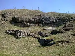 В долине реки Сильница