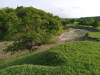 Река в г. Курчалой