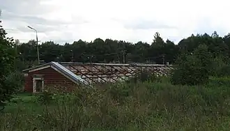 Дворцовые оранжереи, 2014 год