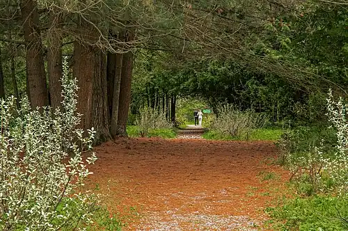 Дендрарий Волжско-Камского заповедника