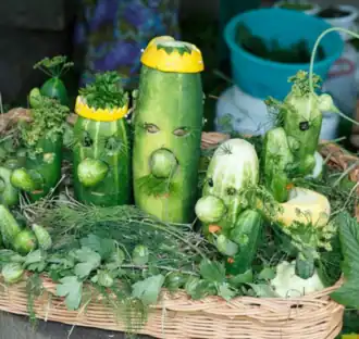 Фото с одного из первых фестивалей, сделанное гостем