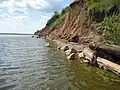 берег Волги