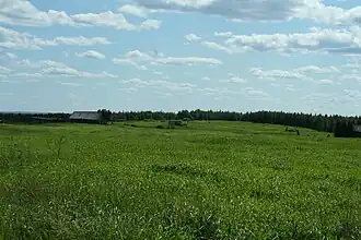 деревня Мещанское 2012 год