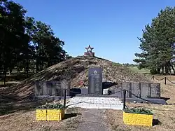 Братская могила