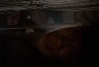 Малдер и Скалли обнаруживают миссис Пикок