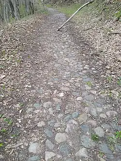 Столетняя дорога к усадьбе