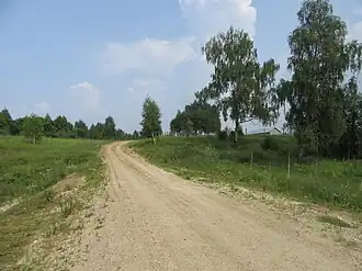 Дорога на Павлищево