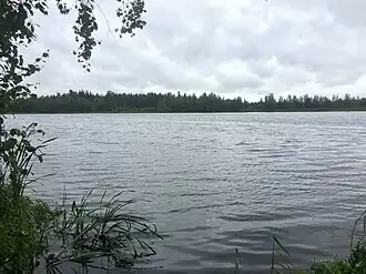 Западный плёс Дроздова