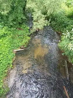 Нижнее течение реки в Козельске летом 2018 года