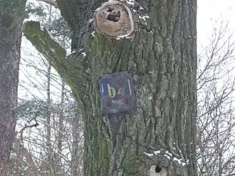 Исторические дубы пронумерованы