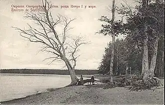 «Дубки» у моря