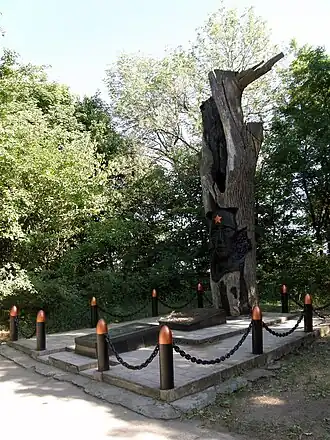 Дуб Камышева