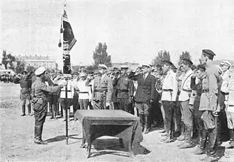 Вручение Почётного Красного Знамени командующим Вооружёнными Силами Украины и Крыма М. В. Фрунзе начальнику 51-й стрелковой дивизии П. Е. Дыбенко, 1921 год.Справа на фото у некоторых краскомов видны нарукавные должностные знаки различия образца 1919 года (у крайнего справа краскома окантовка, серп и молот на нарукавных знаках различия, судя по всему, «неуставного» цвета).