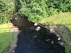 Вид с автомобильного моста