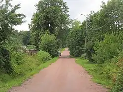 Елизаветинская улица (Петергоф). Вид с Ораниенбаумского шоссе