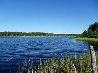 Вид на Елчозеро летом 2015 года