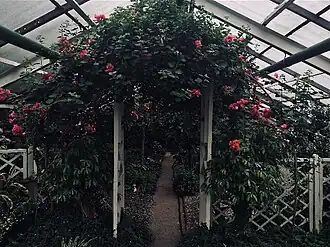 Экспозиция садового оформления