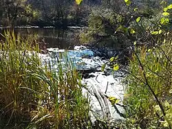 Нижнее течения реки около Нижней Добринки