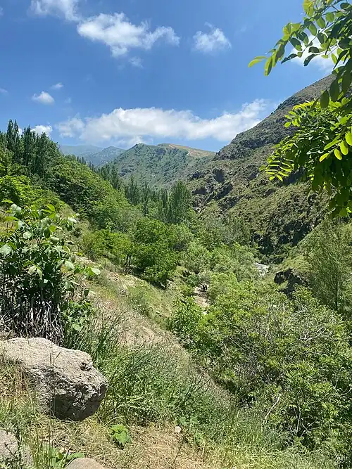 Лесхоз Сукок