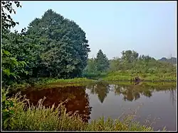 Запруда на Плотне в черте города Ногинска