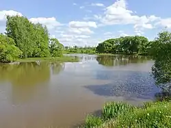 Запруда на реке Трешня