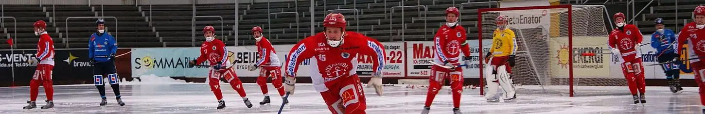 Портал:Хоккей с мячом