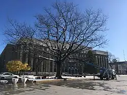 Красный дуб, посаженный космонавтом Валентиной Терешковой во время её посещения Орджоникидзе в 1966 году