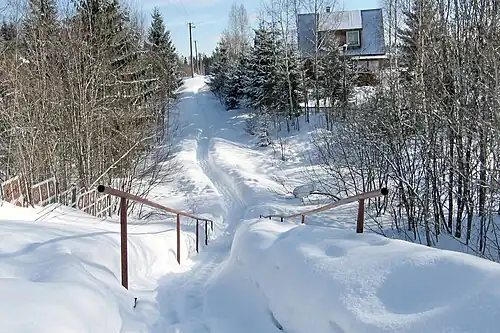 СНТ «Зелёный бор». Зимний вид.