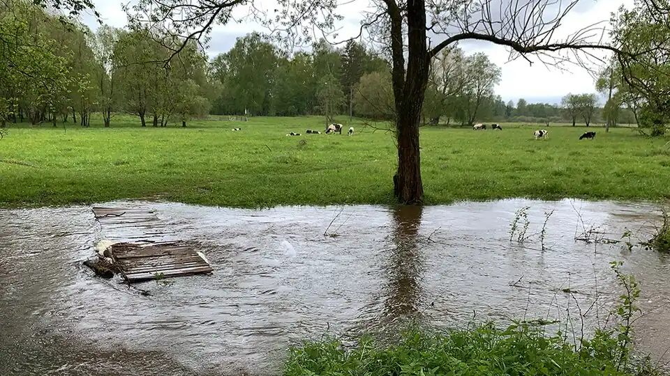 Речка Зуевка вышла из берегов 30 мая 2020 г.