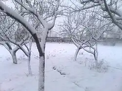 Зима в Адильотаре. 17.01.2010 год.