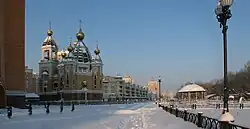 Зима на Оболонской набережной (2009)