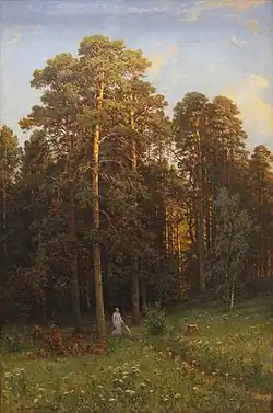 На опушке соснового леса.  И. И. Шишкин.  1882.  Львовская галерея искусств.