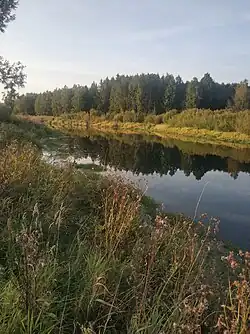 Ижора перед впадением в неё реки Парицы