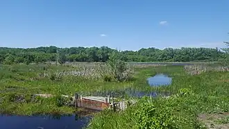 Искусственная запруда на притоке реки Хопёр