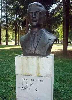 Памятный бюст в Добое