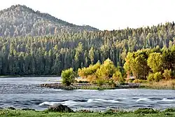 Исток Бии из Телецкого озера