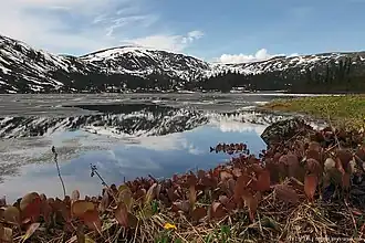 Вид на озеро летом 2013 года