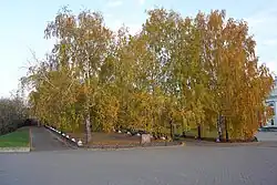 Аллея памяти воинов-казанцев, погибших в Афганистане: общий вид со стороны памятника Муллануру Вахитову