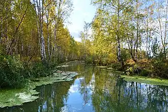 Дренажный канал в районе Отарского озера