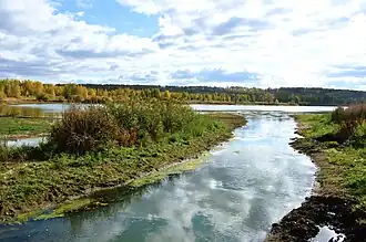 Место впадения дренажного канала в озеро Шанхай