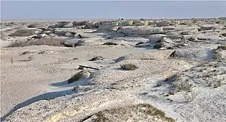 Каменистый берег острова Лазарева