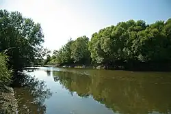 Канал реки Спасовка